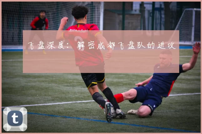 飞盘深度：解密成都飞盘队的进攻