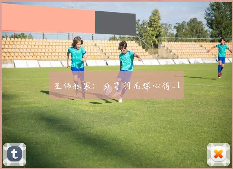 王伟独家：分享羽毛球心得_1