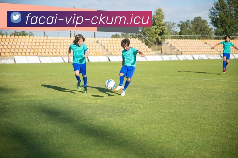 华体会体育注册平台生态图